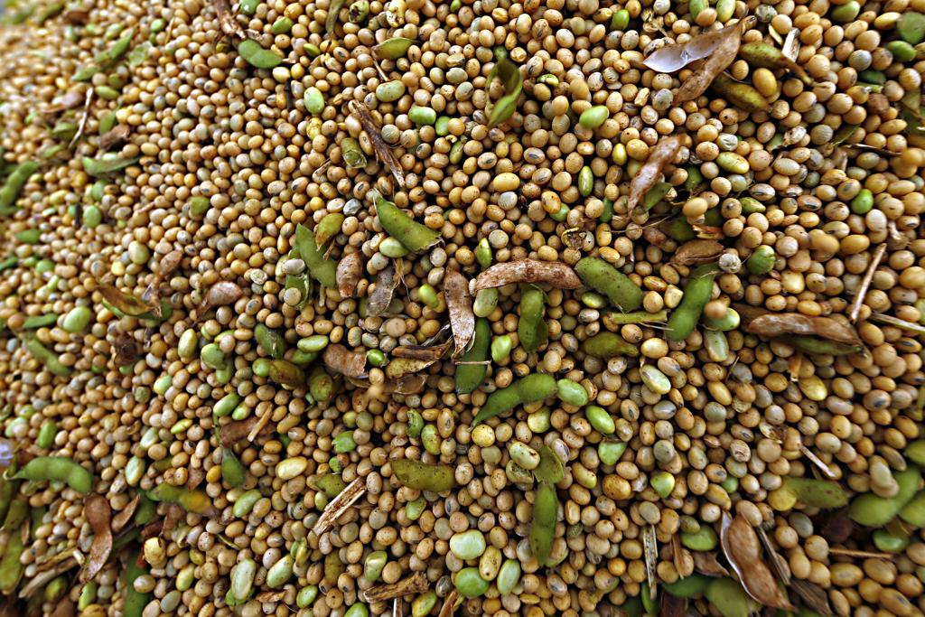 | Albari Rosa/Gazeta do Povo