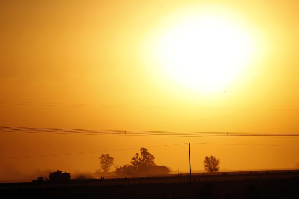 Campos de soja terão 1% de redução em 2015/16. | Jonathan Campos/Gazeta do Povo