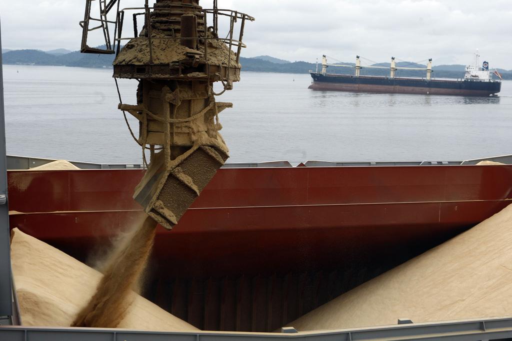 Expectativa era de que soja cedesse espaço para o milho nos portos brasileiros na reta final do ano. | Henry Milleo / Gazeta do Povo