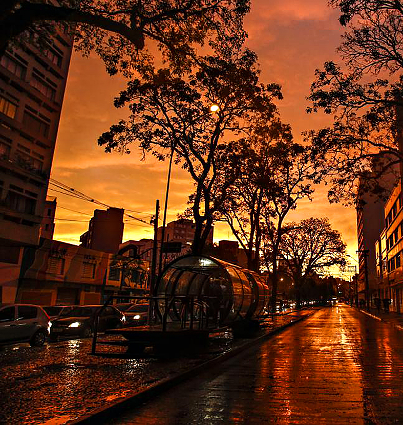 | Daniel Castellano/Gazeta do Povo