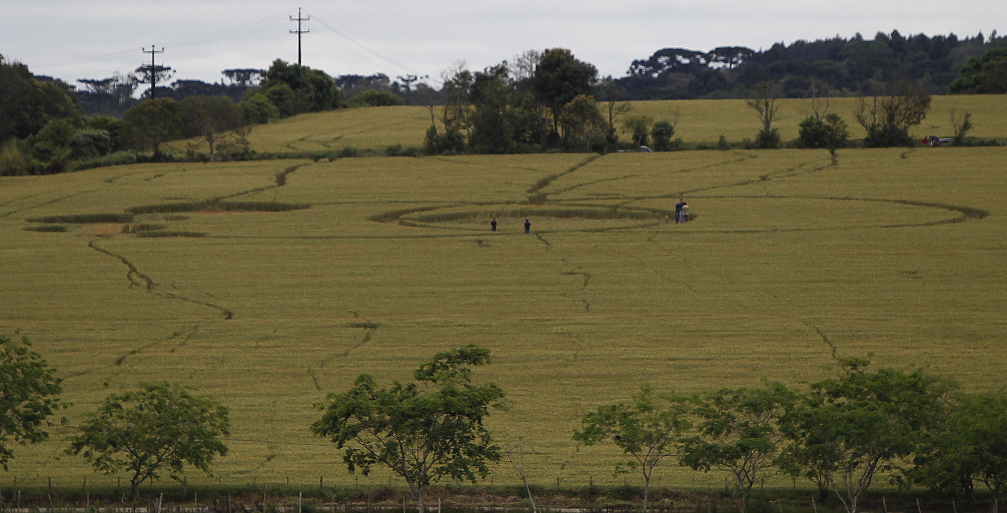  | Jonathan Campos/Gazeta do Povo