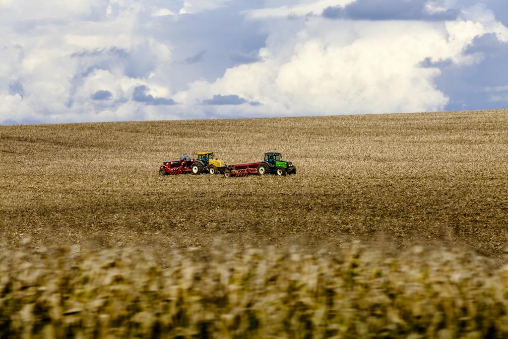 No Paraná, o índice de plantio é de 50% dos 404 mil hectares previstos pela Secretaria Estadual da Agricultura e do Abastecimento (Seab). | Lineu Filho /Tribuna do Parana