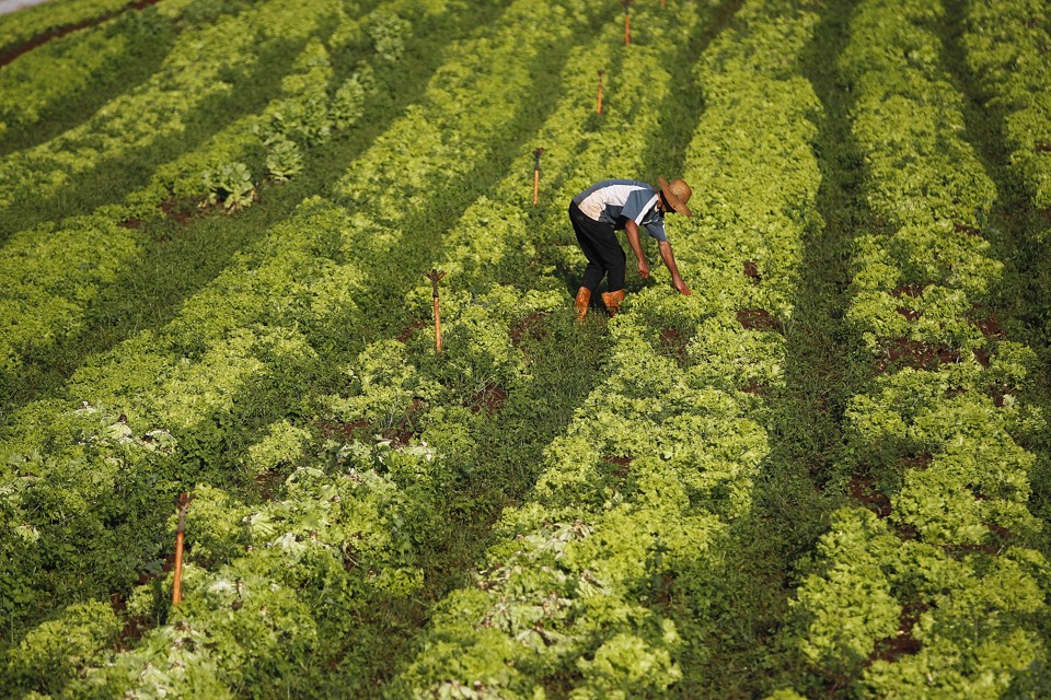 Renda gerada pelo agronegócio embala um crescimento urbano acima da média nacional. | Jonathan Campos/Gazeta do Povo