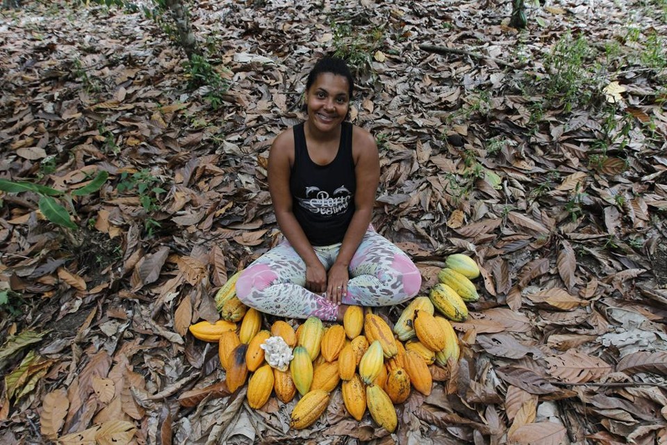 A agricultora familiar Ailana Santos dos Reis cercada por frutos em dia de colheita. Produção baiana representa 70% da safra nacional. | Jonathan Campos/Gazeta do Povo