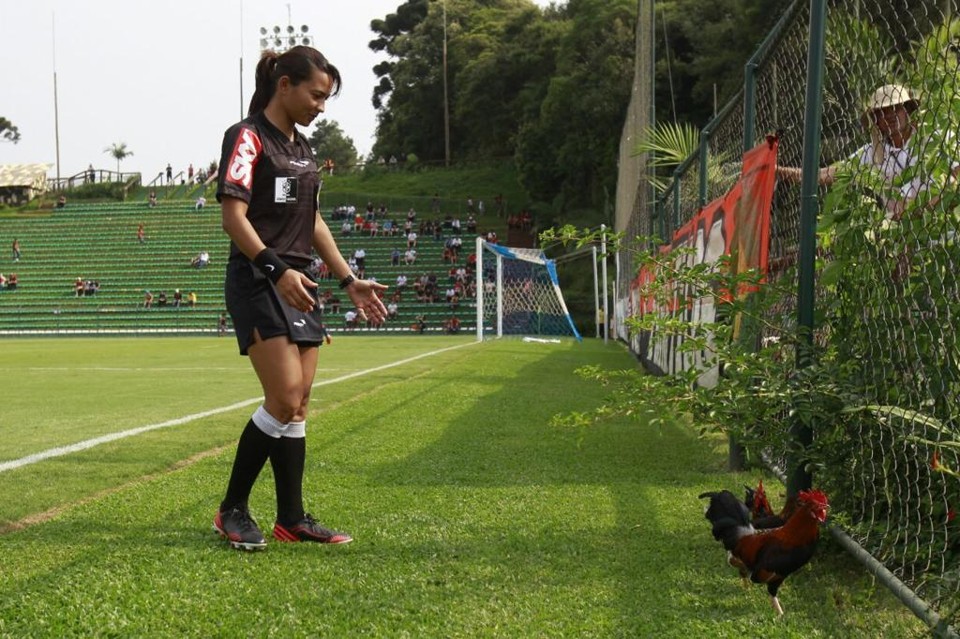 Bandeirinha tenta retirar as galinhas do campo | Daniel Castellano/Gazeta do Povo