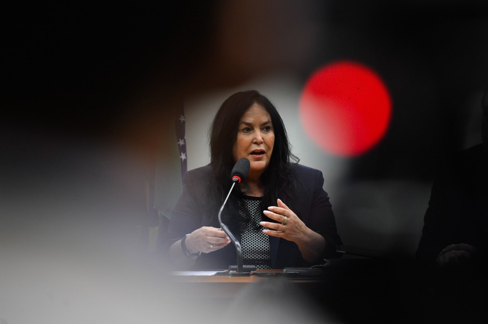 Senadora por Alagoas, Rose de Freitas é quem vai indicar o relator para analisar a reprovação das contas de Dilma pelo TCU. | Fabio Rodrigues Pozzebom/Agência Brasil