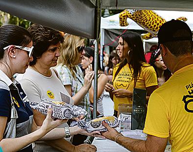 Neste ano serão 17 dogueiros. | Brunno Covello/Gazeta do Povo
