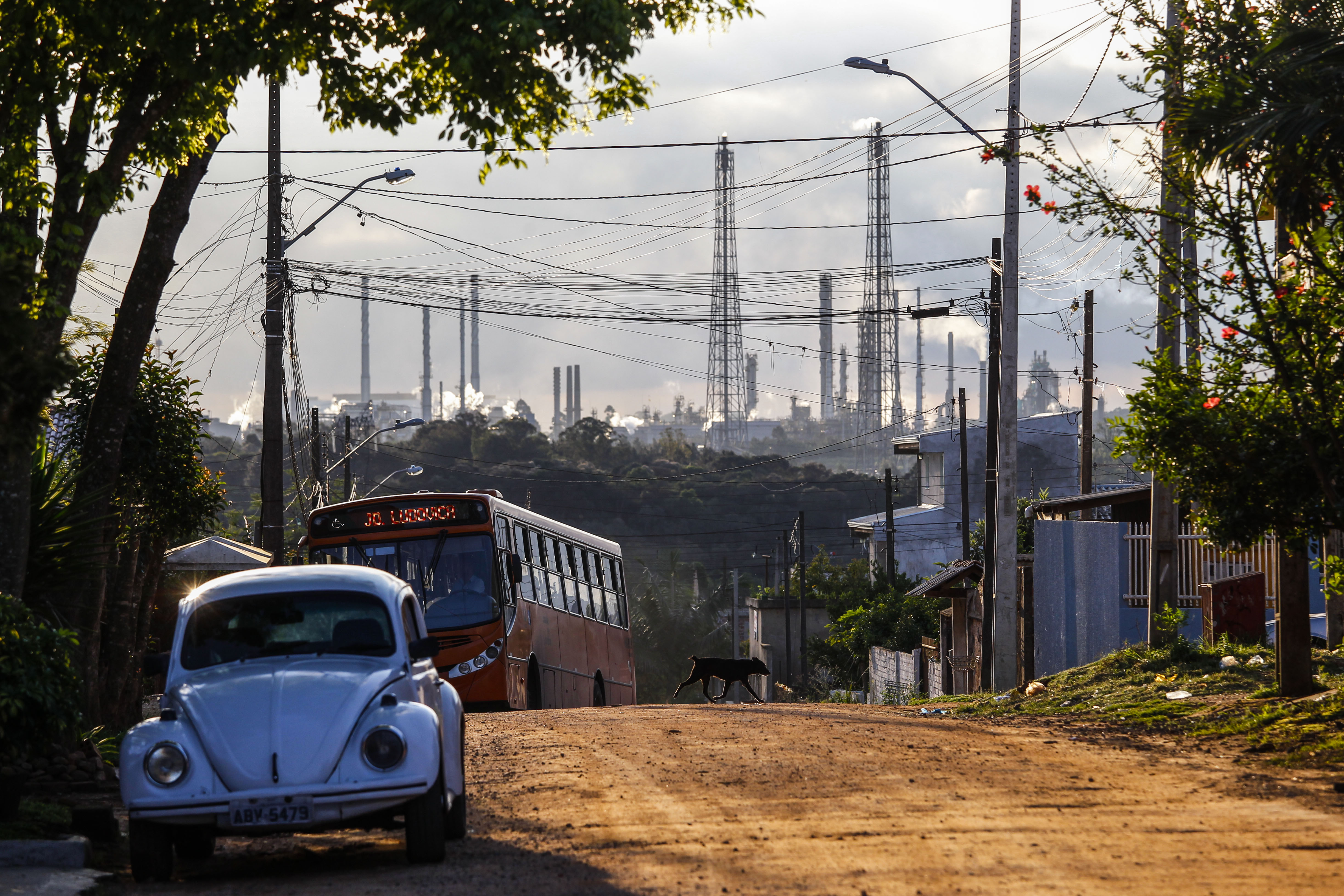 | Daniel Castellano/Gazeta do Povo