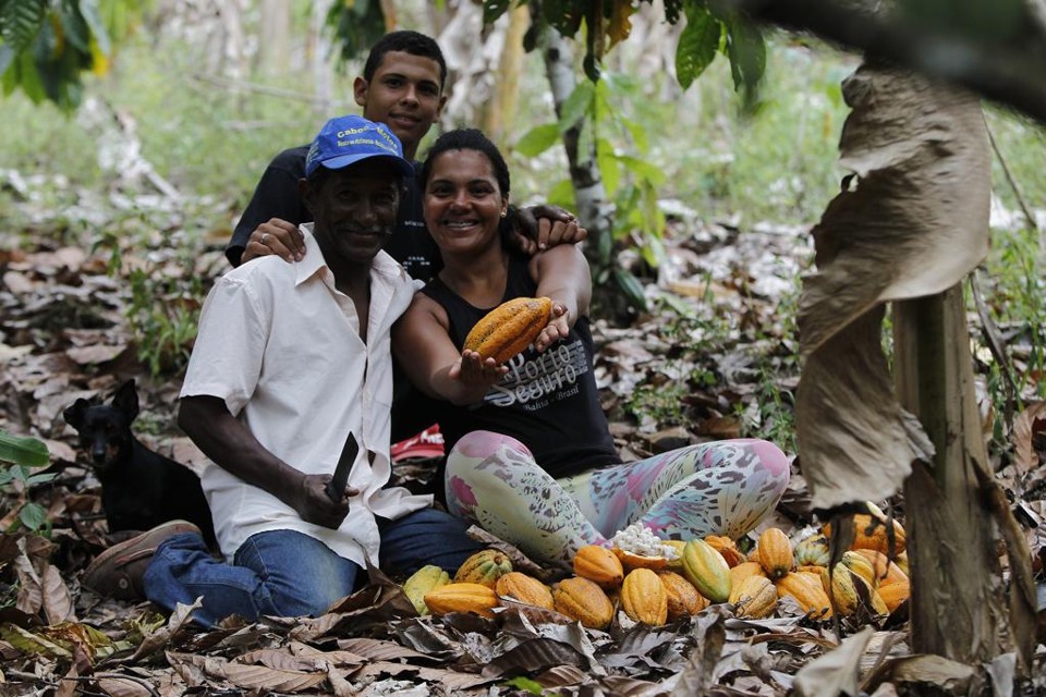 Noel, Ensio e Ailana: produtividade dobrada. | Jonathan Campos/Gazeta do Povo