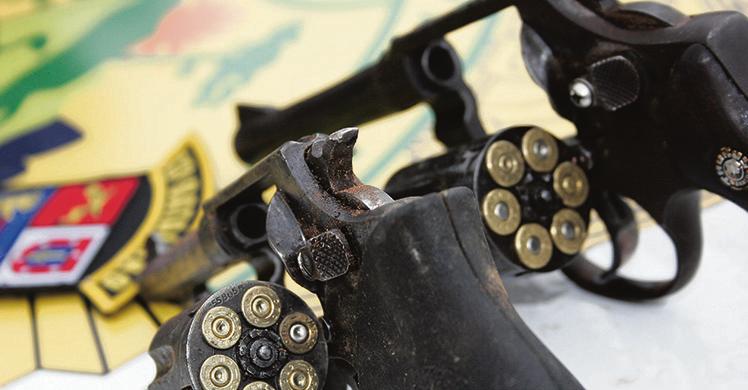 Pelo projeto, validade do porte aumenta de três para dez anos. | Atila Alberti/Tribuna do Paraná