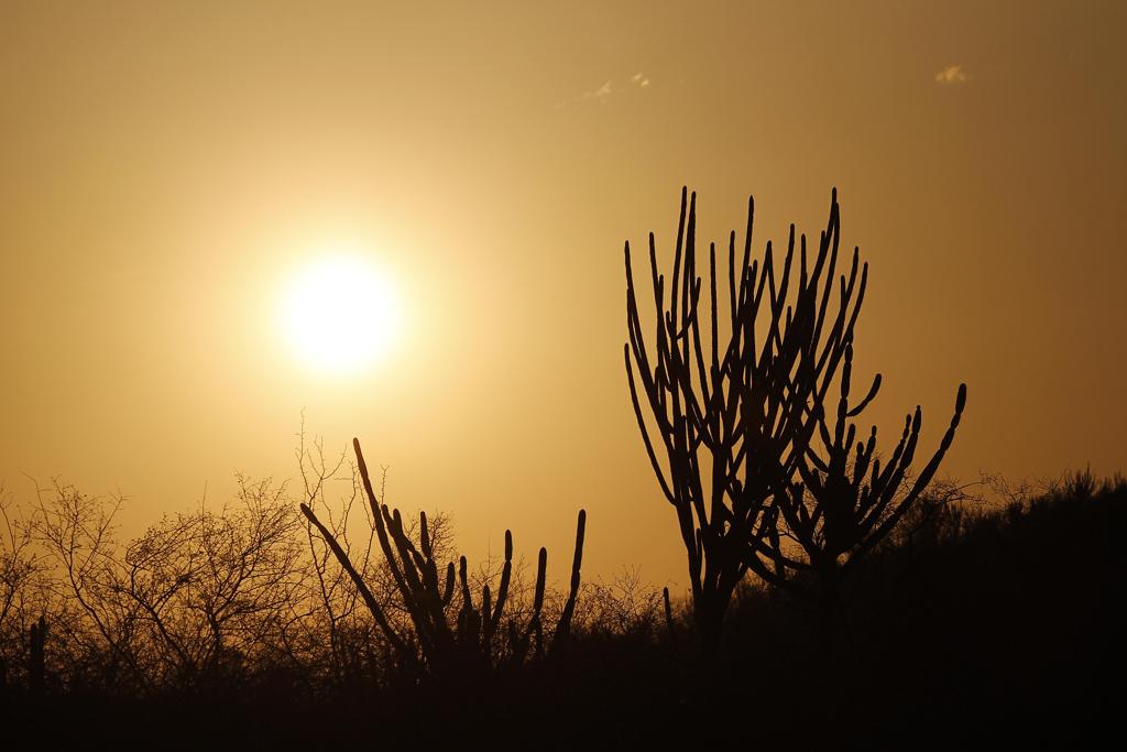 Com passagens pelas cidades de Petrolina (PE) e Juazeiro (BA), projeto visitou o sertão nordestino na última semana . | Jonathan Campos/Gazeta do Povo