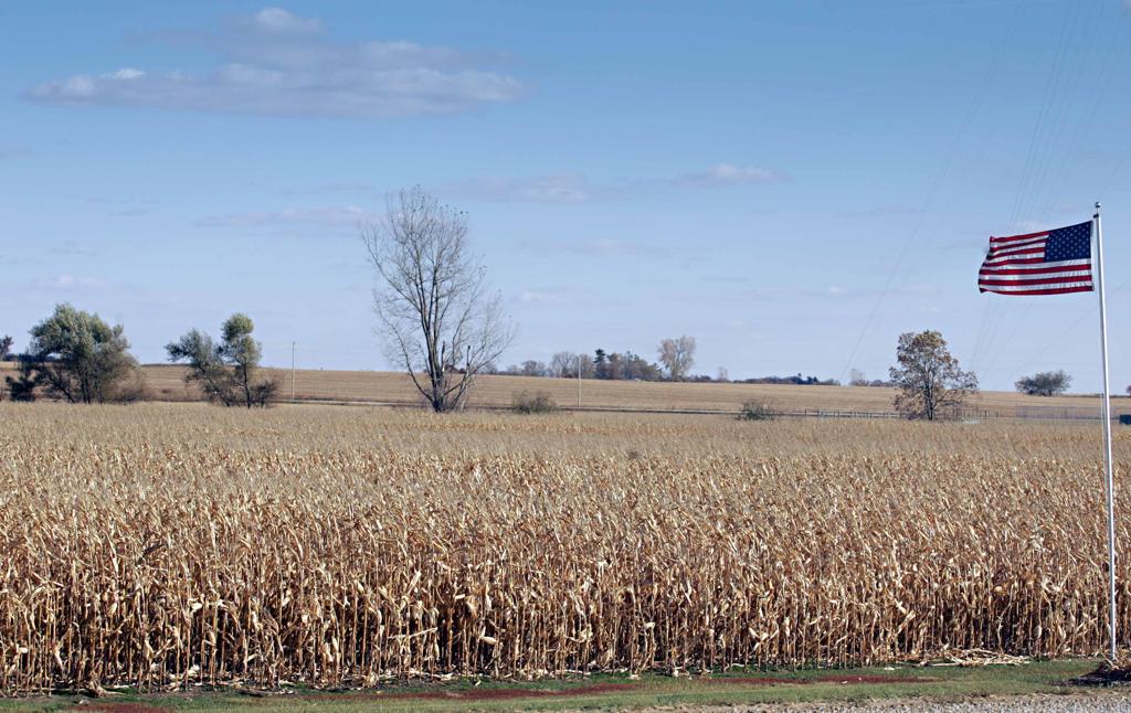 Milho perderá espaço no contraponto da expansão da soja. | Christian Rizzi/Gazeta do Povo
