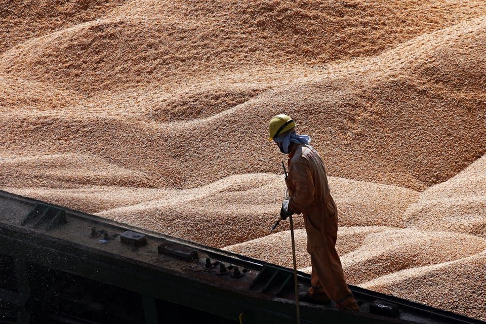 Queda vertiginosa no preço de importantes commodities para a pauta comercial brasileira continua ofuscando o aumento dos volumes exportados | Felipe Rosa/Gazeta do Povo
