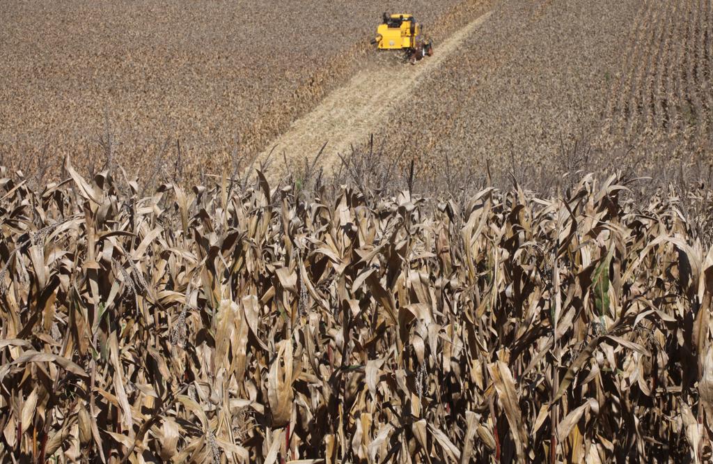 | Dirceu Portugal /Gazeta do Povo