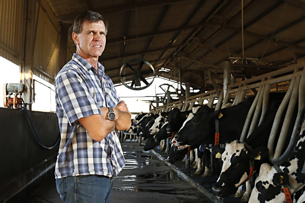 13º no ranking Milkpoint, Albertus Frederik Woltersx é  o segundo maior produtor de leite da região de Castro. | Josué Teixeira / Gazeta do Povo
