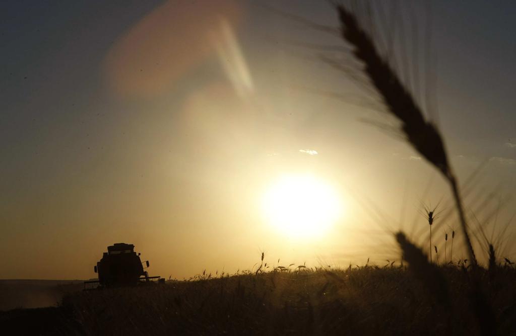 Cereal do pão terá oferta menor na Austrália. | Jonathan Campos/Gazeta do Povo