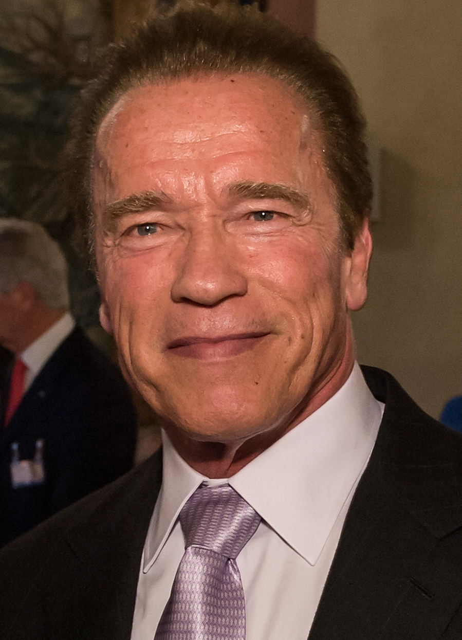 Arnold Schwarzenegger. | Joerg Koch/Wikimedia Commons