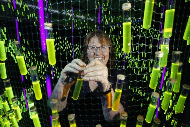 A alemã Helga Griffiths usa milhares de provetas cheias de fluoresceína para criar uma abstração do DNA humano. | Henry Milleo/Gazeta do Povo