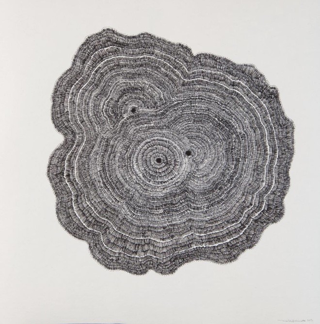 Maíra Fukimoto usa nanquim para simular formações naturais |