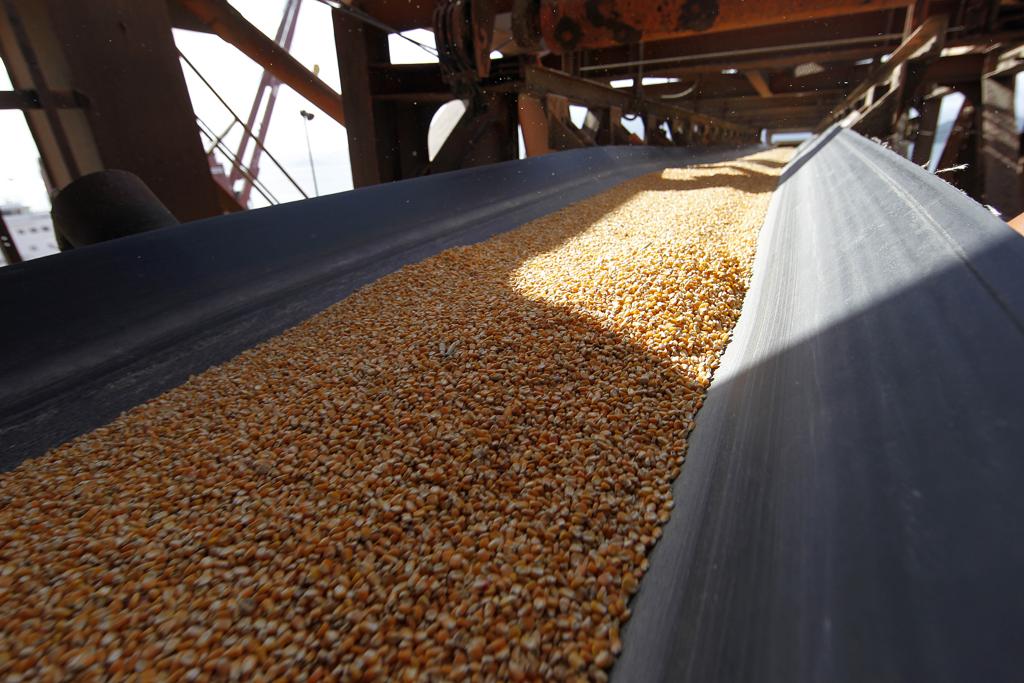 De acordo com dados da Secretaria de Comércio Exterior (Secex), os embarques diários de milho nas três primeiras semanas deste mês atingiram 266,2 mil toneladas. | Jonathan Campos/Gazeta do Povo