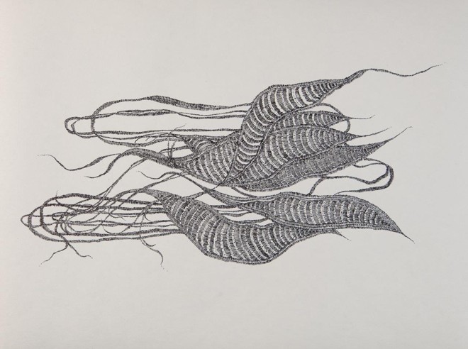 Maíra Fukimoto usa nanquim para simular formações naturais |