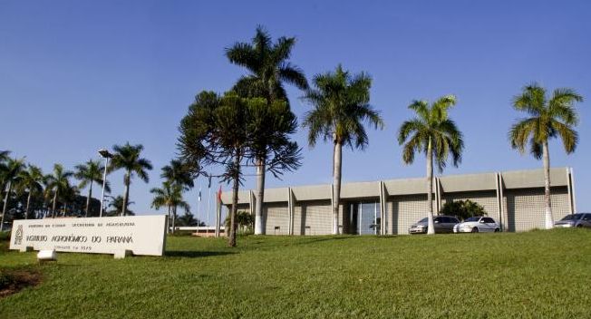 | Jornal de Londrina/Arquivo