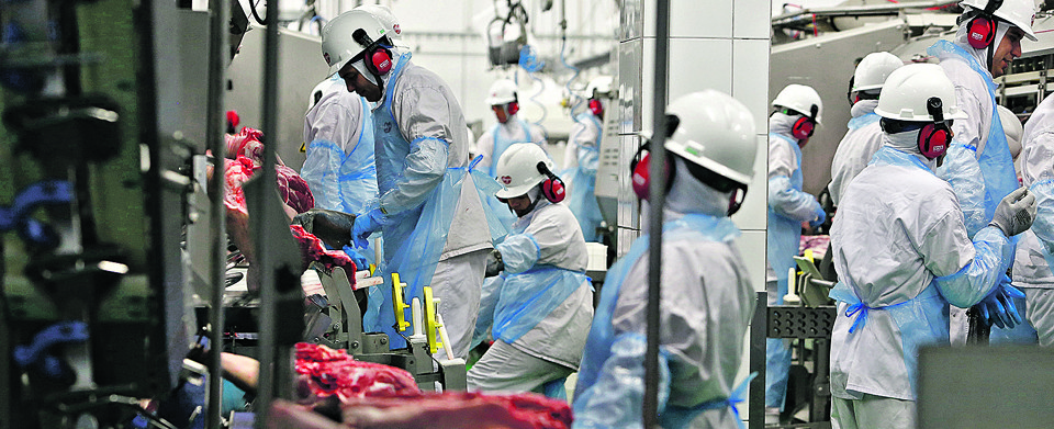 Nos próximos anos, mais de 6 mil postos de emprego serão abertos em indústrias cujo as donas são cooperativas, como a Alegra Foods. | 