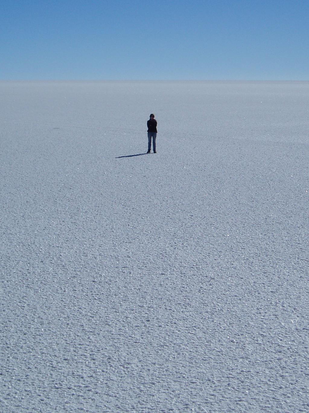  | /Wikimedia Commons