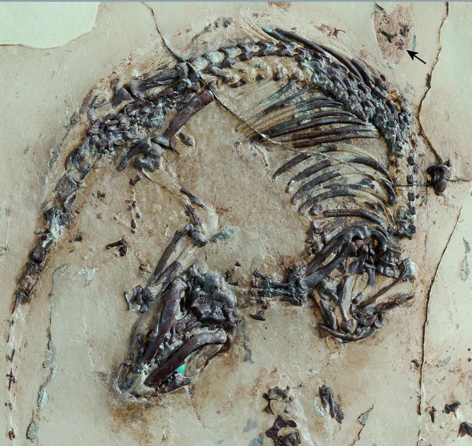 | Reprodução/El Confidencial