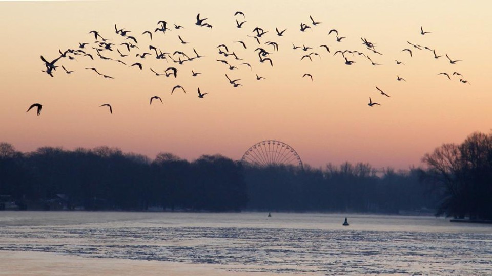 Nascer do sol em Berlim, no Rio Spree. | Johannes Eisele/Reuters