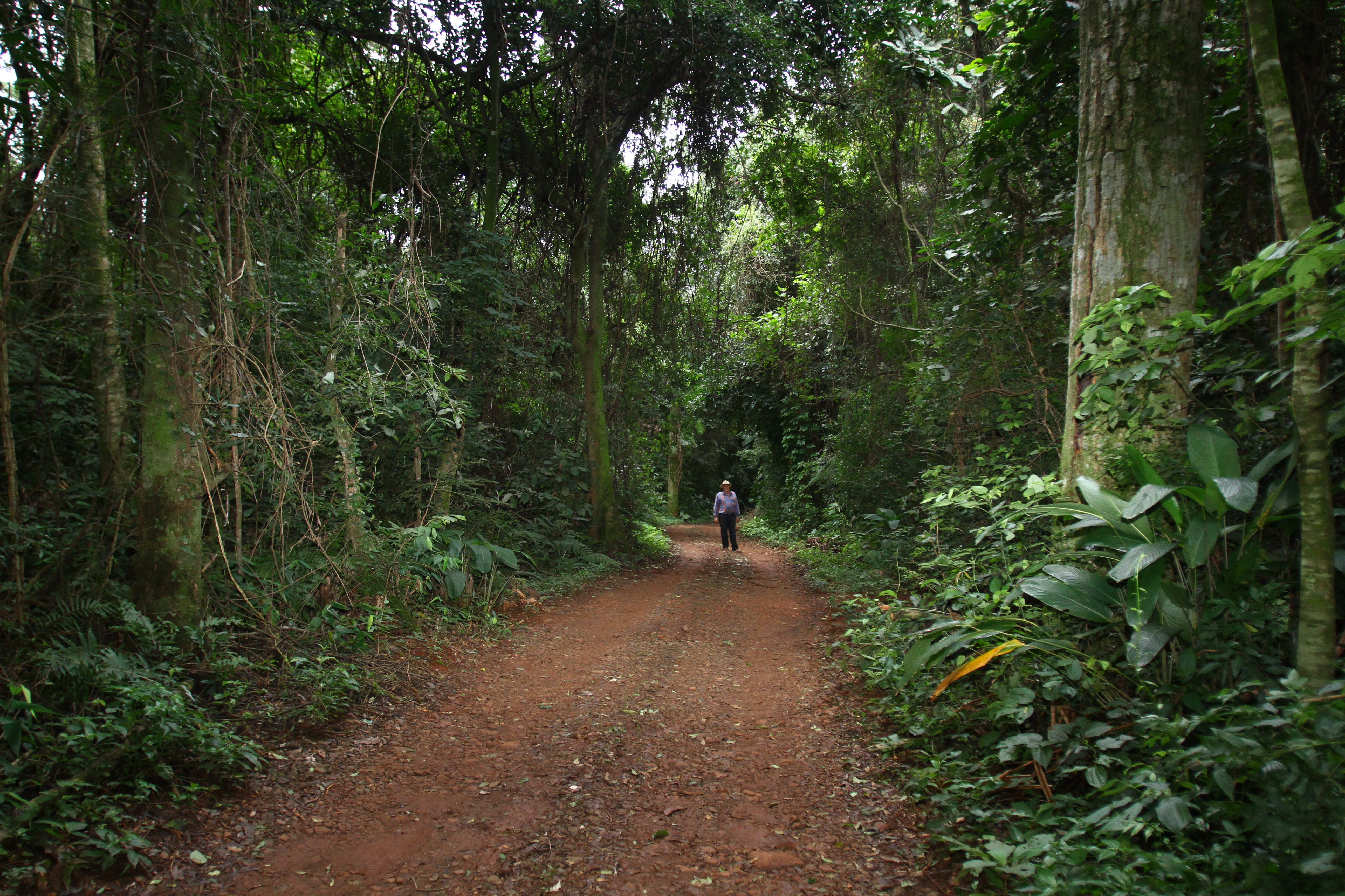 Cadastro Ambiental Rural (CAR) deve ser preenchido até 6 de maio de 2016. | Gilberto Abelha/Gilberto Abelha
