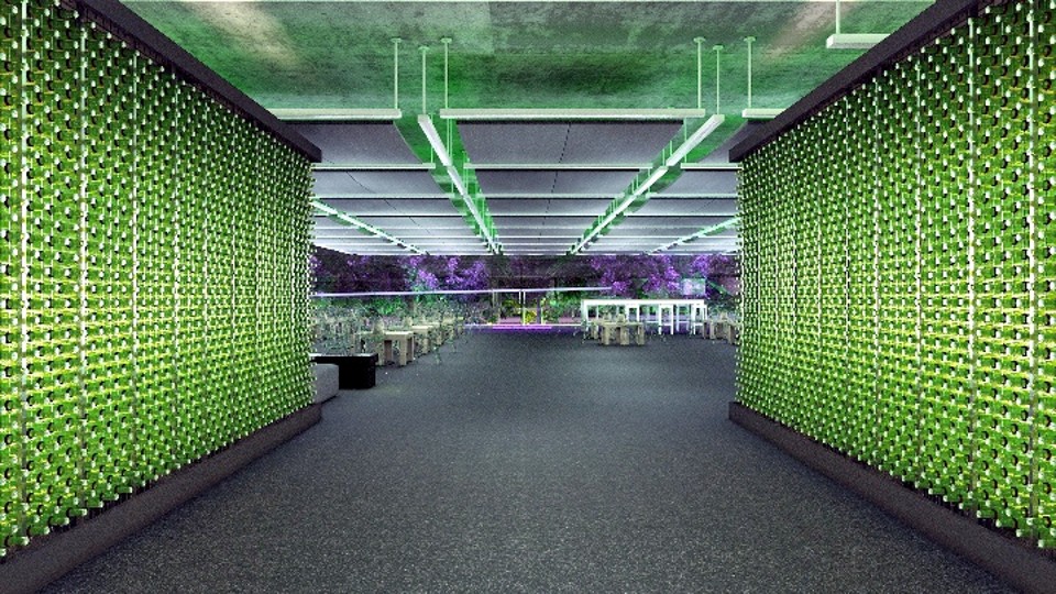 MON colorido de verde na primeira edição da Heineken Glass Room | Divulgação/