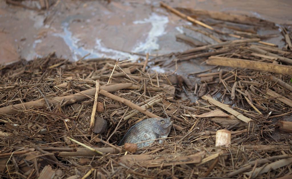 | RICARDO MORAES/REUTERS