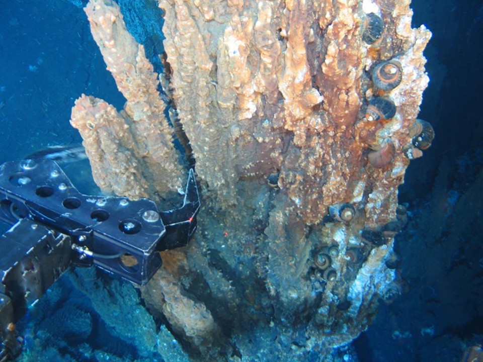 Alto Rio Grande tem metais de alto valor comercial, como cobalto, ferro, níquel, cobre e manganês. | Divulgação Nautilos Minerals