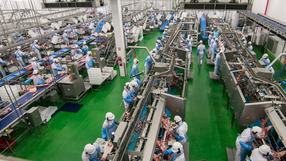 Indústria de carne suína, um dos investimentos concluídos neste ano, compõe estratégia para que cooperativas cheguem a R$ 100 bilhões. | Arquivo