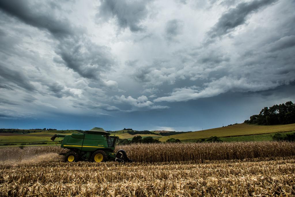 Cotação de apenas US$ 3,7 por bushel dá prejuízo inclusive nos Estados Unidos. | Brunno Covello/Gazeta do Povo