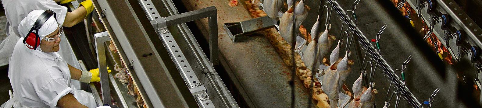 Países sul-americanos produzem 37,7 milhões toneladas de carnes (bovina, suína e de frango), quantidade que dá à região 28% do comércio global de proteína animal. | Jonathan Campos/Gazeta do Povo