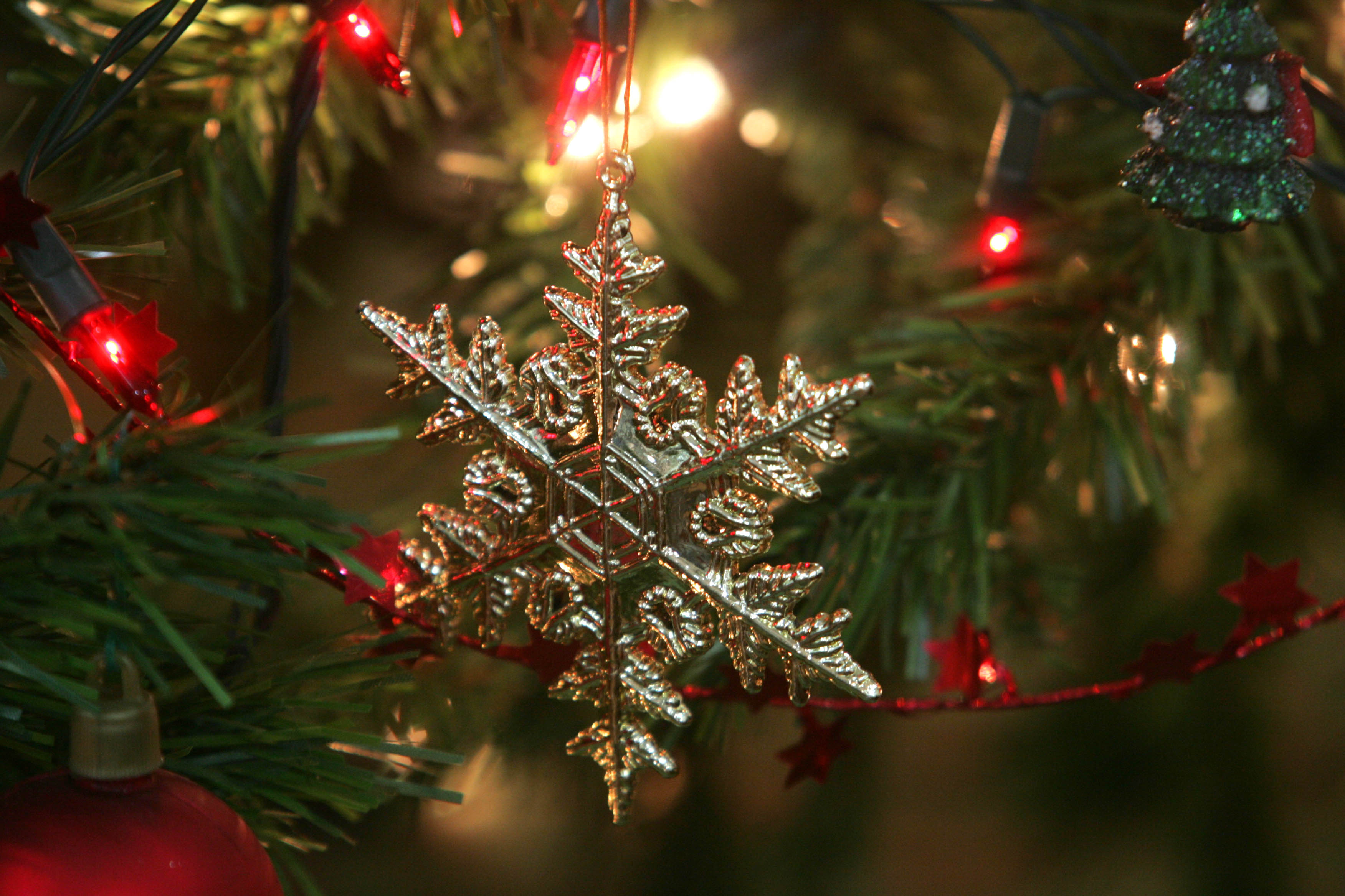 | Marcelo Elias/Gazeta do Povo/Arquivo