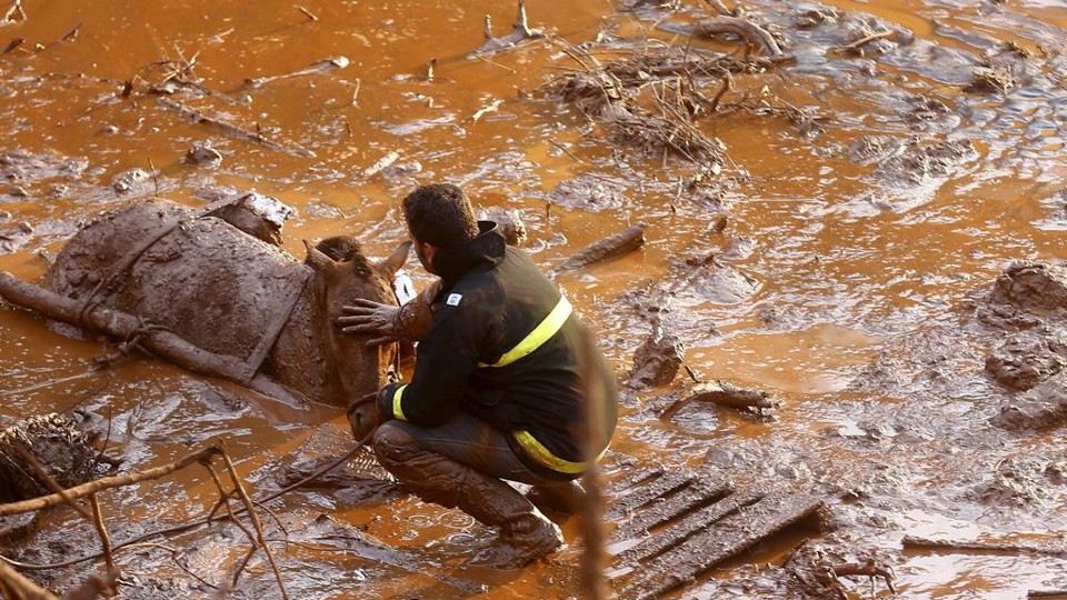 Resgate continua em Mariana. | Ricardo Moraes/Reuters