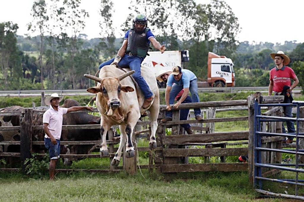 Animal e peão parecem voar enquanto o duelo ocorre na arena improvisada em Santa Rita do Araguaia, em Goiás. | Albari Rosa/Gazeta do Povo