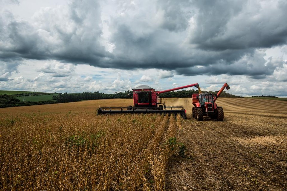 Até 2024, Brasil, Argentina, Paraguai e Uruguai devem atingir 192 milhões de toneladas de oleaginosas. Brasil e Argentina devem alcançar 185 milhões de toneladas só de soja, e poderão exportar 50% mais. | Brunno Covello/Gazeta do Povo