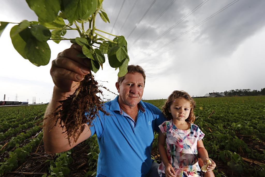smar Tacarnoski, com a filha Ana Clara, na lavoura de soja que teve seu plantio atrasado em 25 dias. | Albari Rosa/Gazeta do Povo
