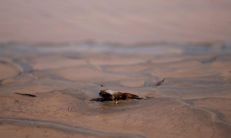  | RICARDO MORAES/REUTERS