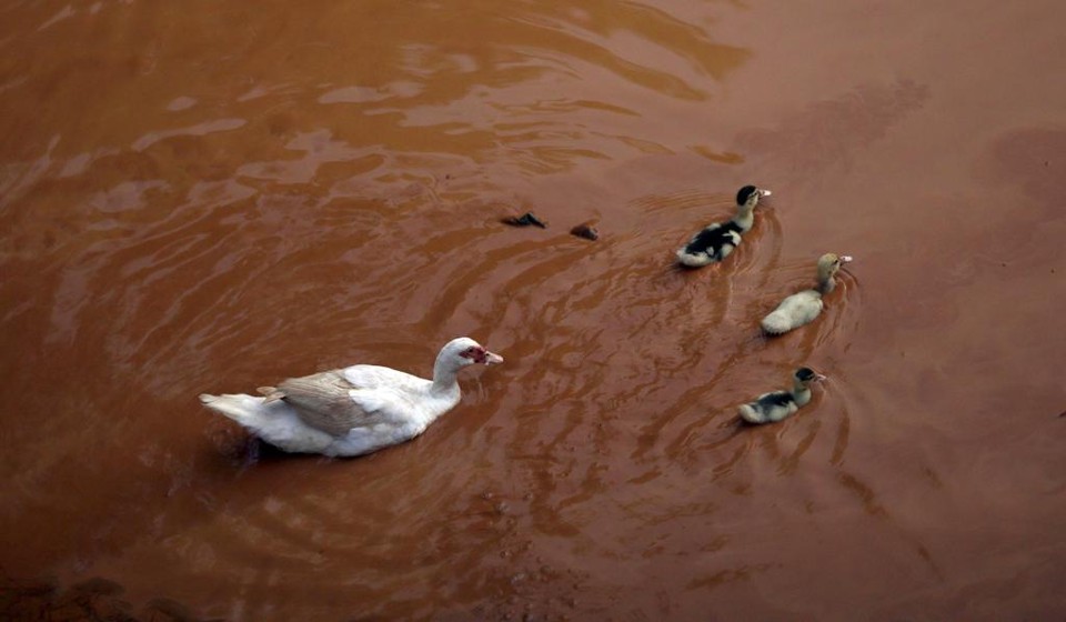 | RICARDO MORAES/REUTERS