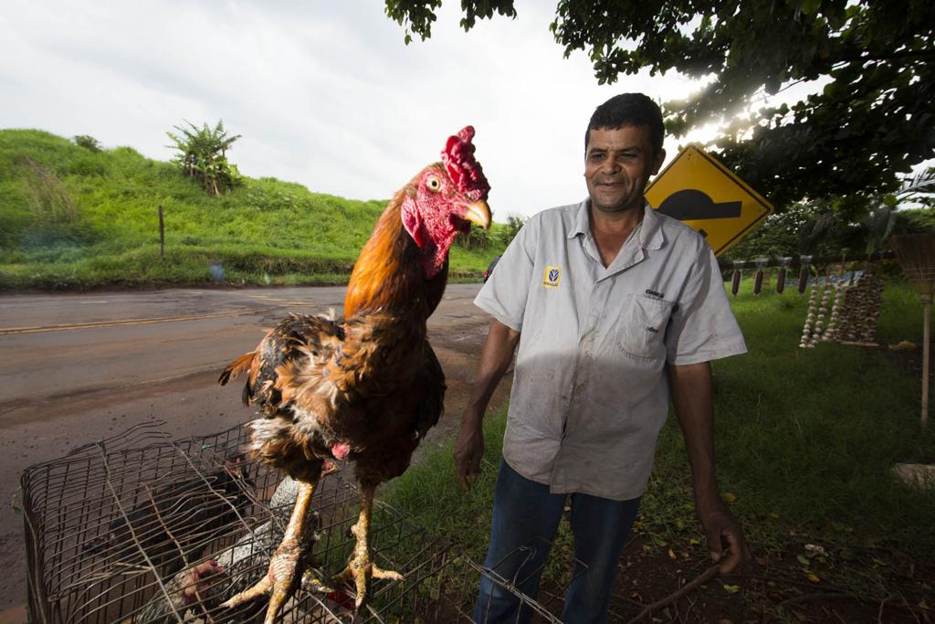 Sebastião de Araújo precisou inovar para garantir sustento com venda na beira da PR-323. | Lineu Filho/Gazeta do Povo