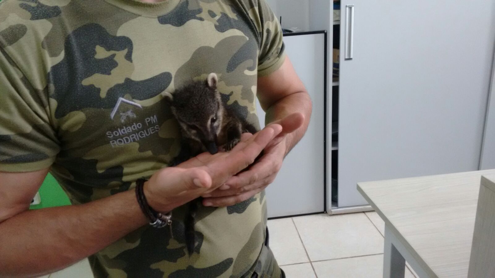 | Divulgação/Polícia Ambiental