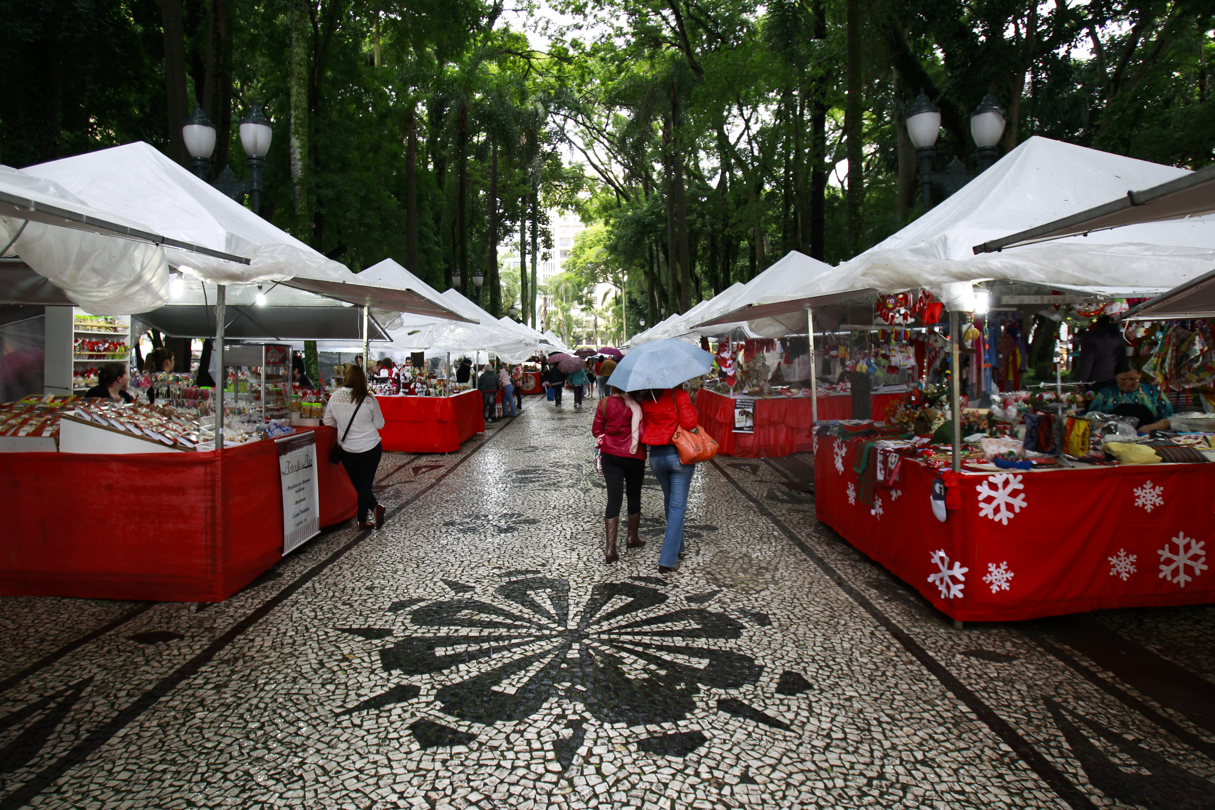 | Daniel Castellano/Gazeta do Povo