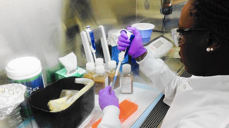 OpenBiome desenvolveu cápsulas que são alternativa à transplante fecal: solução é polêmica | Divulgação/OpenBiome