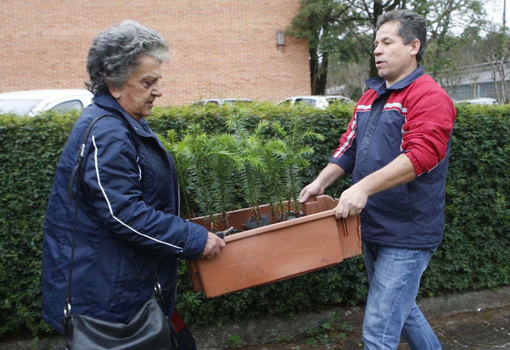 Distribuição de mudas de pinheiro no câmpus de agronomia. Pesquisas e atividades do curso mudam o uso da terra no Paraná. | Aniele Nascimento/Gazeta do Povo