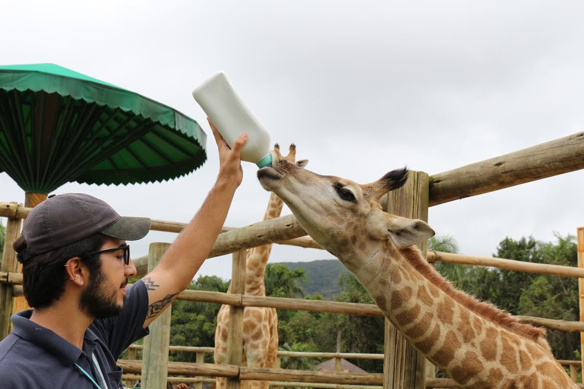  | Divulgação/Beto Carrero  World